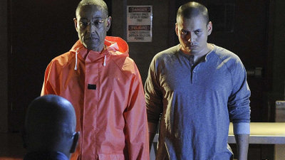 Why did Goose Fring kill Victor on «Breaking Bad» - 3 reasons