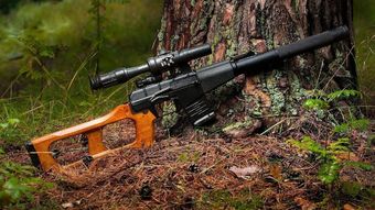 Ostrostrelna puška VSS Vintorez - tihi spremljevalec ostrostrelcev posebnih enot